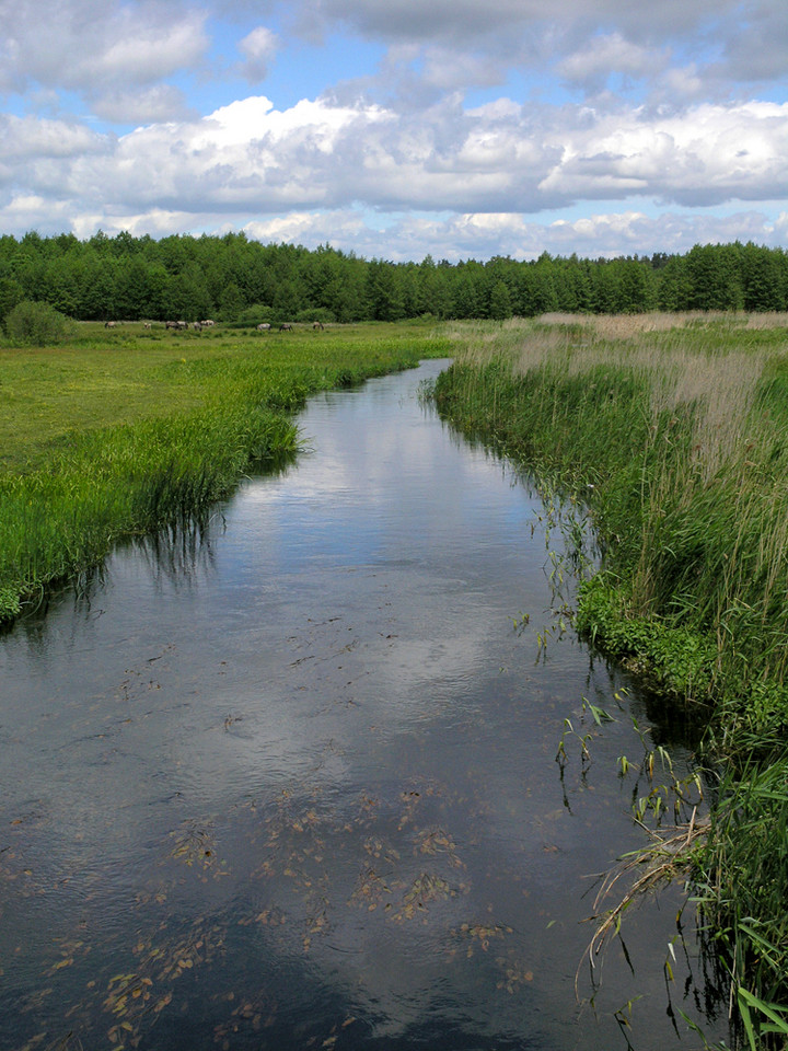 Biebrzański Park Narodowy