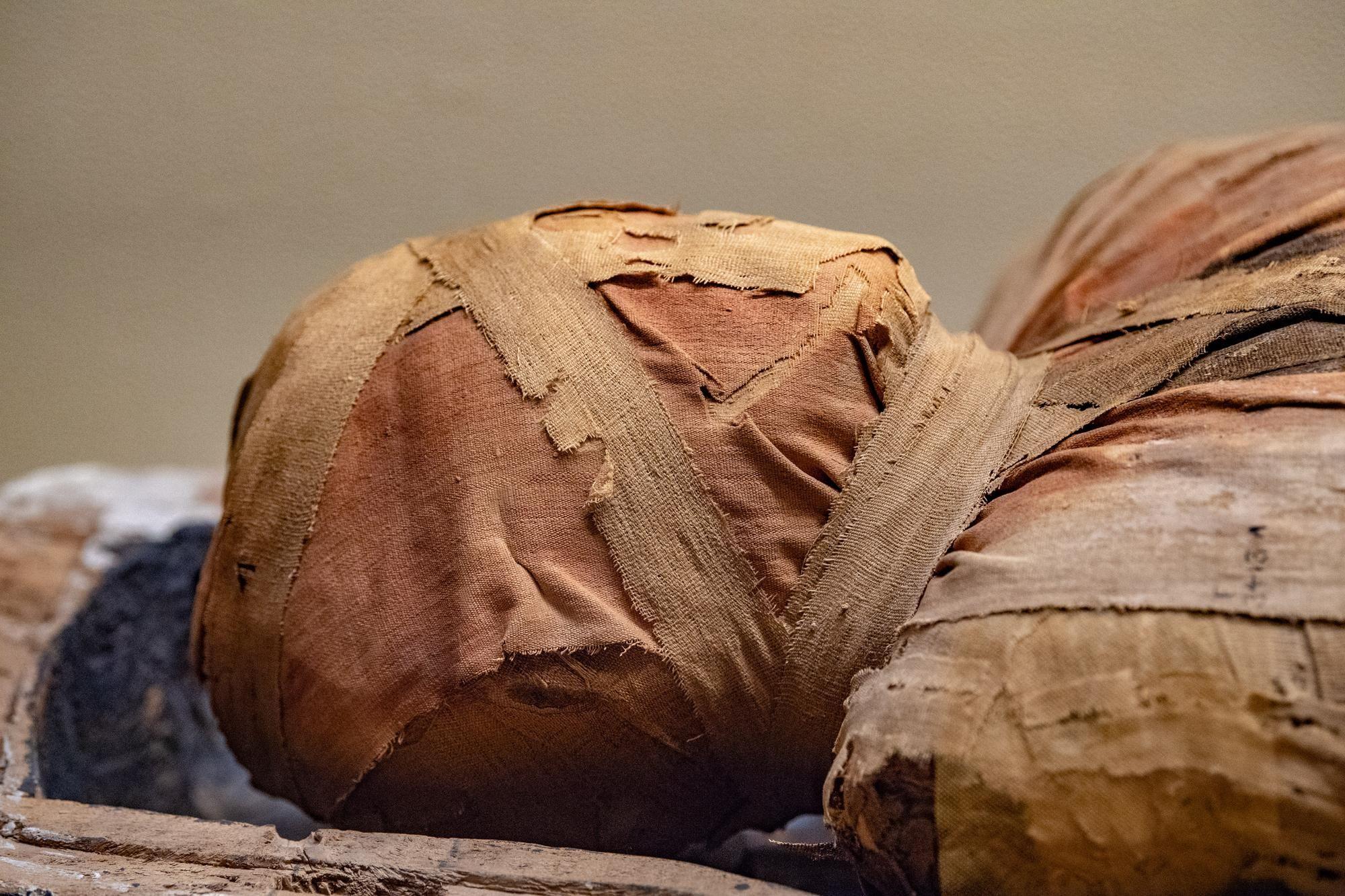 Aké dve látky obsahovali najstaršie múmie?