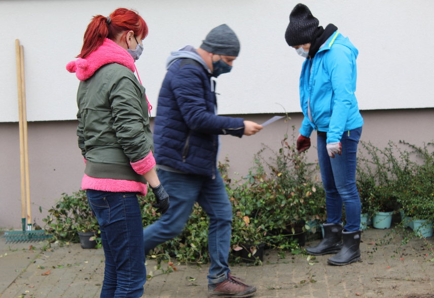 Gdynia: mieszkańcy samodzielnie stworzyli sąsiedzką rabatę