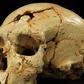 czaszka morderstwo archeologia 
