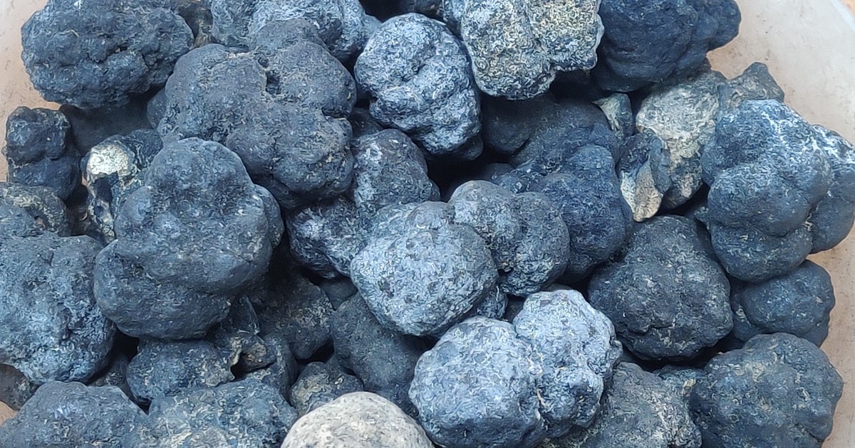 Chcą wydobywać rzadkie metale z głębin oceanu. To pierwsze tego typu przedsięwzięcie na świecie