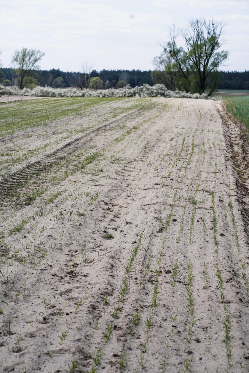 Kłobuck. Susza na Śląsku