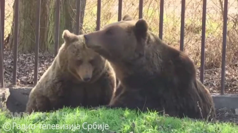 Zoo vrt u Kolutu, Milan Marić