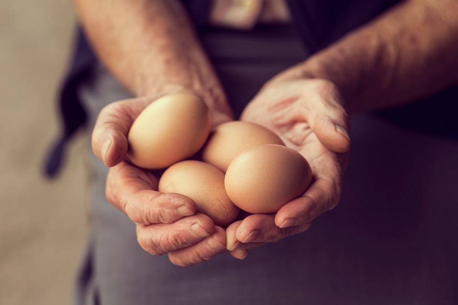 Fotó: iStock