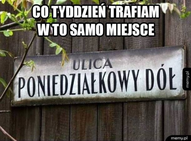 Poniedziałek - memy na dobry początek tygodnia