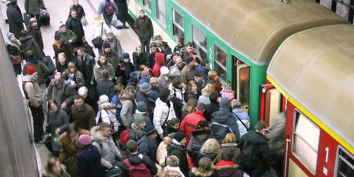 Dramat! Bydło jeździ lepiej od ludzi! 