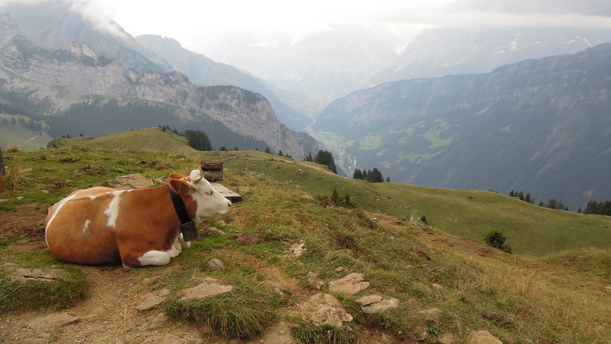 Berno i Berneński Oberland