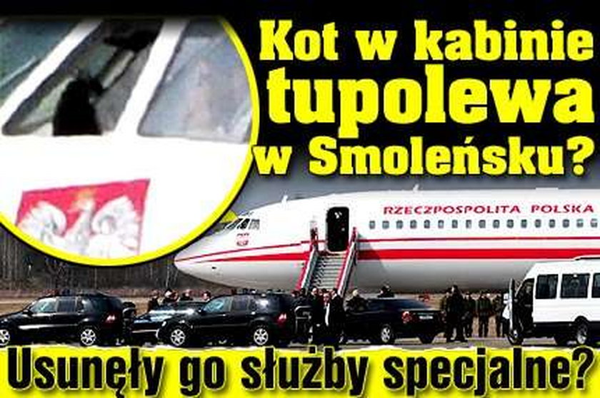 Kot w kabinie tupolewa w Smoleńsku? Usunęły go służby specjalne? 