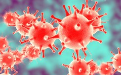 Ekspert: Wirusy mogą aktywować cukrzycę