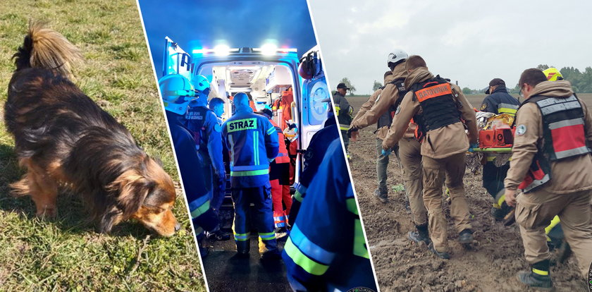 Kundelek Skierka uratował życie swojemu panu! Co za historia z happy endem!