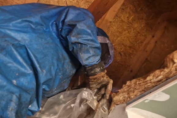 (VIDEO) Vladica zmije hvata golim rukama, ali kada je video OVO, ŠOK! Trebalo mu je i posebno zaštitno odelo: Šta je ovo?! Ludnica!"