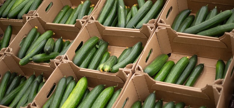 Warzywa z Rosji zalewają Polskę i zagrażają polskim producentom