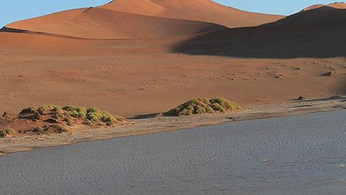 Galeria Namibia - Pustynia Namib, obrazek 1