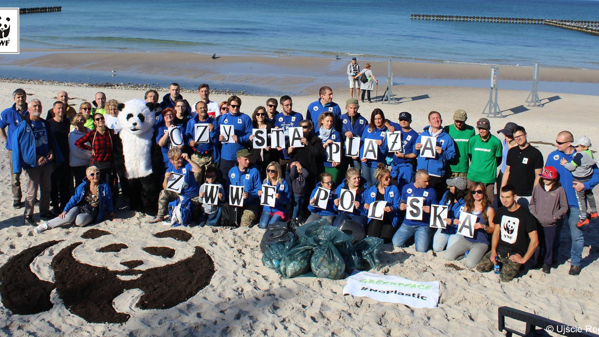 W ubiegły weekend, wolontariusze Błękitnego Patrolu WWF już po raz czwarty zorganizowali akcję "Czysta Plaża". Podczas sprzątania wybrzeża od Mrzeżyna do Dźwirzyna i od Kołobrzegu do Dźwirzyna zebrano w sumie przeszło 3600 litrów śmieci. Celem projektu było zwrócenie uwagi na rosnący problem zanieczyszczenia Morza Bałtyckiego, a także przyległych do niego terenów plaż i wydm. Zgodnie z tradycją cała akcja zakończyła się wspólnym pamiątkowym zdjęciem oraz ogniskiem.