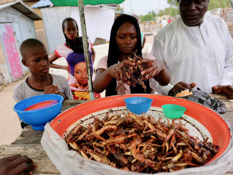 A Nigerian woman selling grasshoppers  