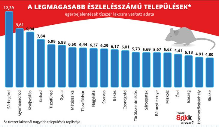 Ami az egerek gyakoriságát illeti, Sárbogárd, Gyomaendrőd és Kisújszállás végzett az első három helyen / Fotó: Sokk a rovar