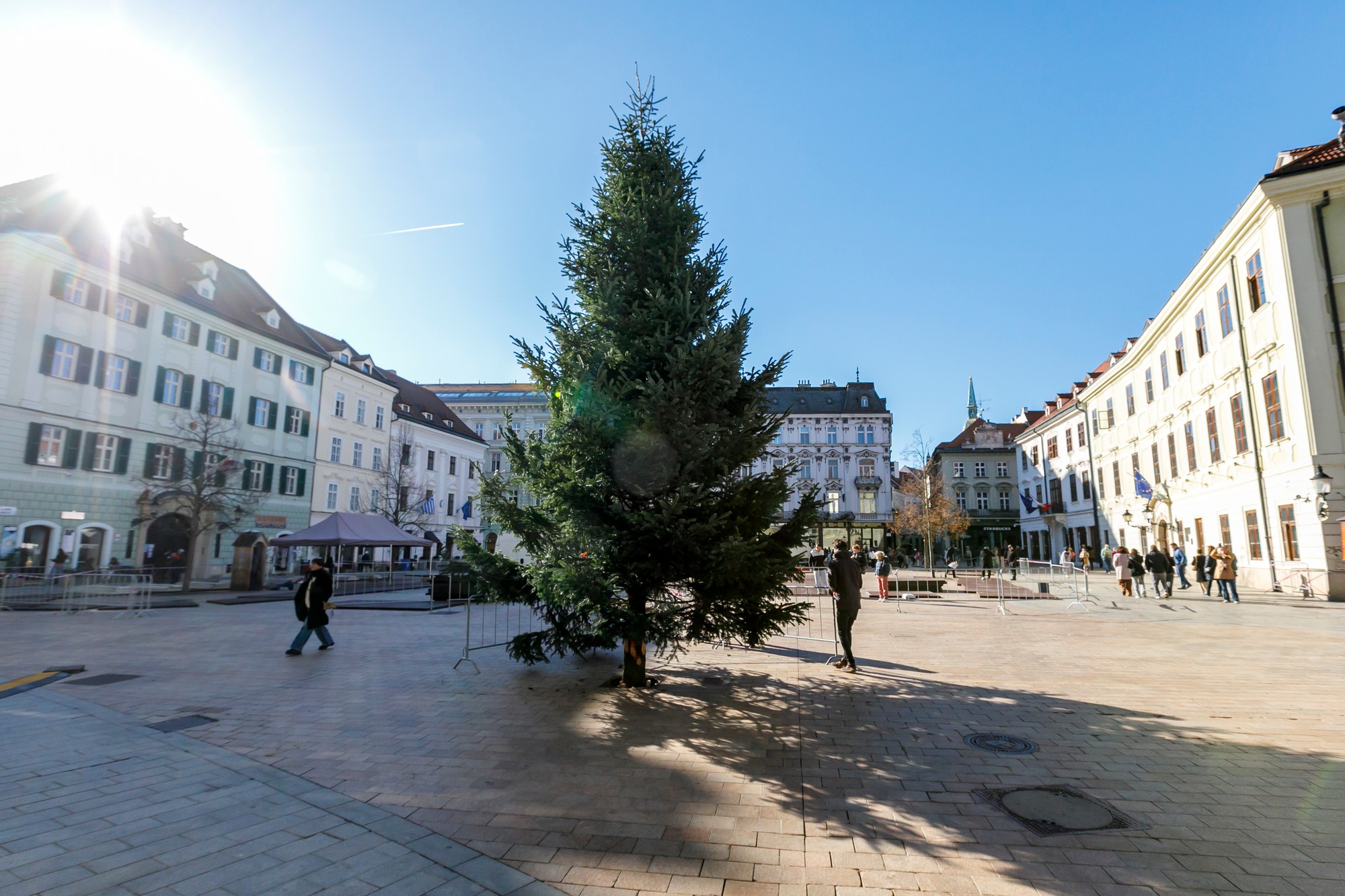 Na Hlavnom námestí v Bratislave osadili vianočný strom.