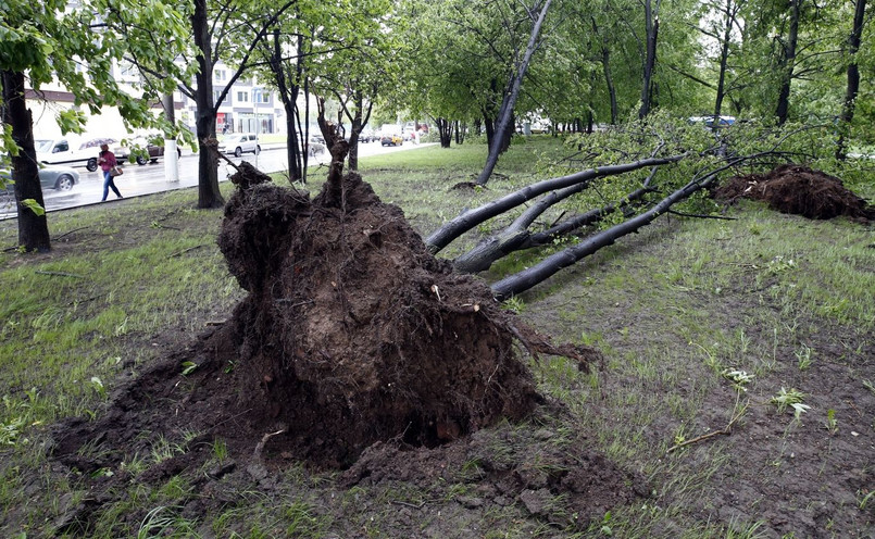 Mer Moskwy Siergiej Sobianin napisał na swoim koncie na Twitterze, że na skutek wichury zginęło kilka osób, a ponad 40 zwróciło się po pomoc lekarską.