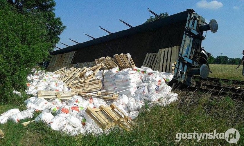 Pociąg wypadł z torów. Wagony leżą w rowie