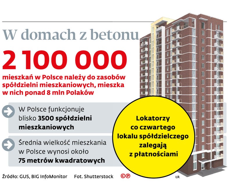 W domach z betonu