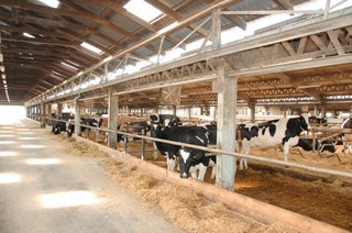 Jak utrzymać renomę  polskiego rolnictwa?