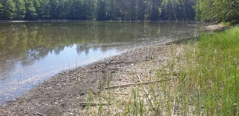 Katastrofa ekologiczna w Jeziorze Głębokim  