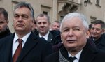 Orban zdradzi Kaczyńskiego?! „Może dogadać się z największym wrogiem prezesa PiS”