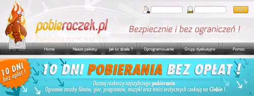 W regulaminie portalu nt. 10-dniowej promocji można przeczytać: "Usługobiorca obowiązany jest do uiszczenia wynagrodzenia z tytułu realizacji Usług Usenet w wysokości wynikającej z wybranego pakietu cenowego w terminie 17 dni od zawarcia umowy o świadczenie opisanych w Regulaminie usług. Za dzień uiszczenia wynagrodzenia Usługodawca uważa datę wpływu wynagrodzenia na rachunek bankowy Usługodawcy. "