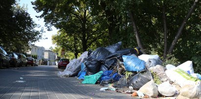 Zamieszanie wokół segregacji odpadów. Koszty mogą znacznie urosnąć