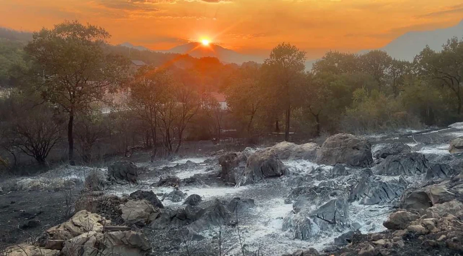 Požar u Piperima, Crna Gora