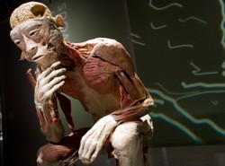 Rada Reklamy: Martwe ciała są nieetyczne