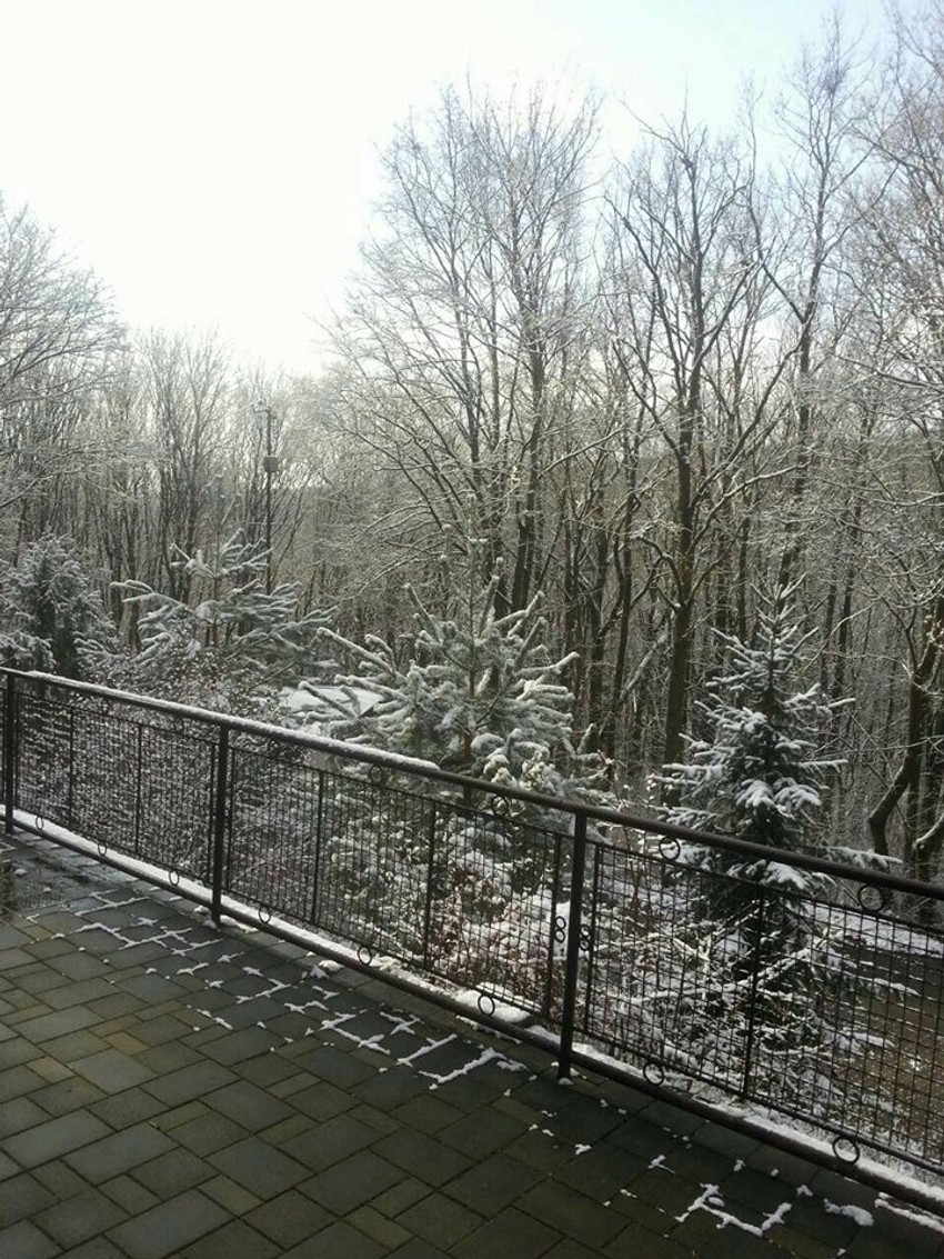 Šuma u Slovačkoj gde se nalazio kolektivni smeštaj