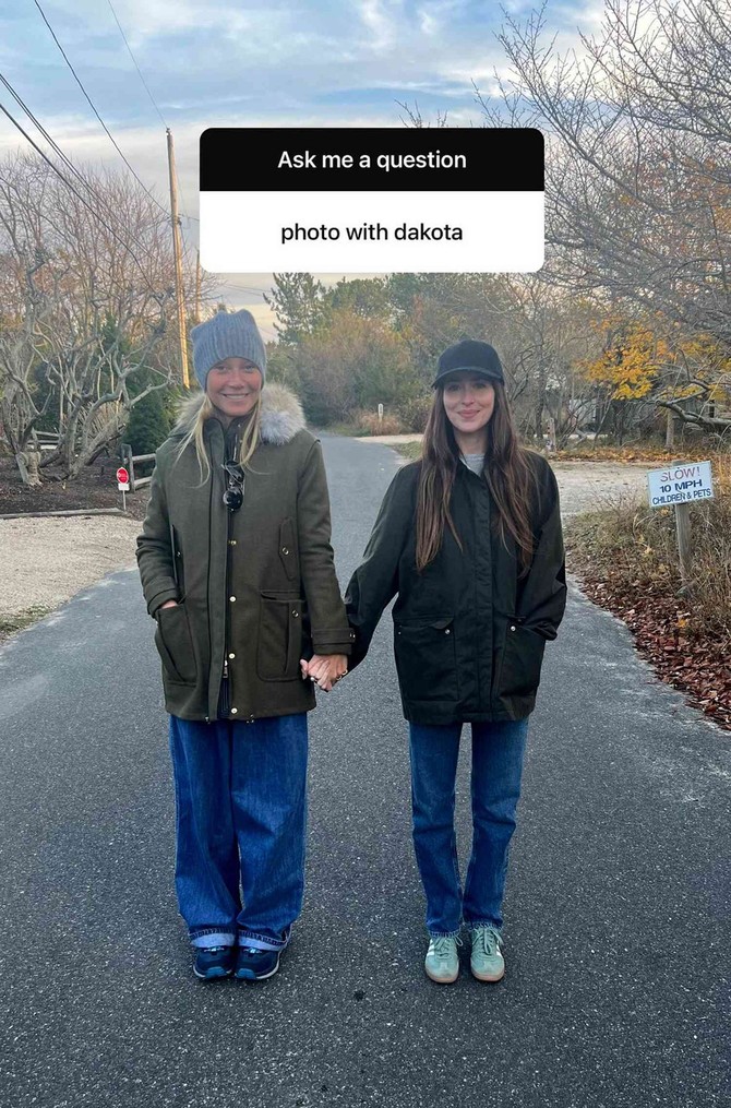 Gvinet Paltrou i Dakota Džonson  