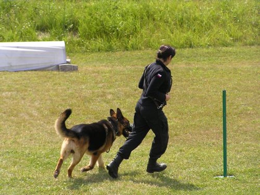 Policjantka z psem służbowym