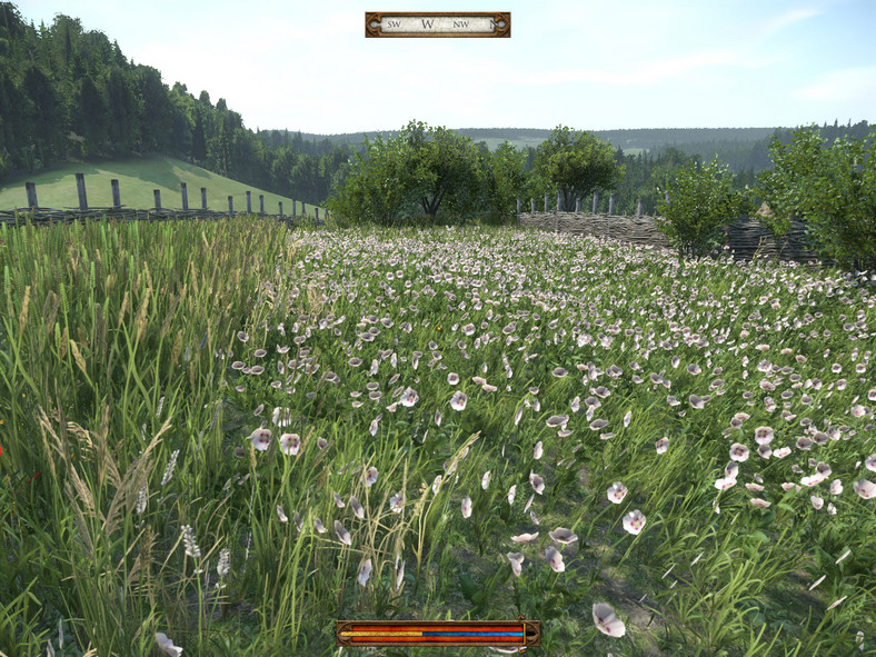 Kingdom Come: Deliverance