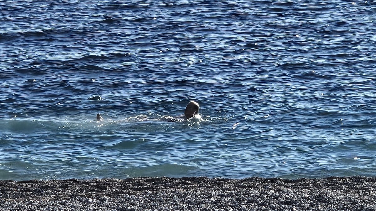 Kupanje u januaru u Budvi 