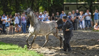 Pride of Poland 2018. Dwa razy słabszy wynik niż podawano