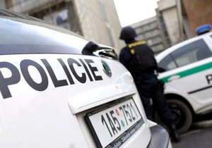 Policija, Češka