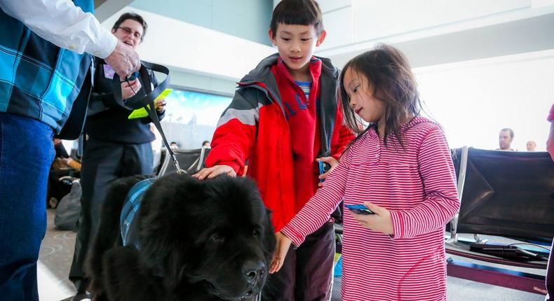 Airlines are making new moves to crack down on which emotional support pets can board planes.