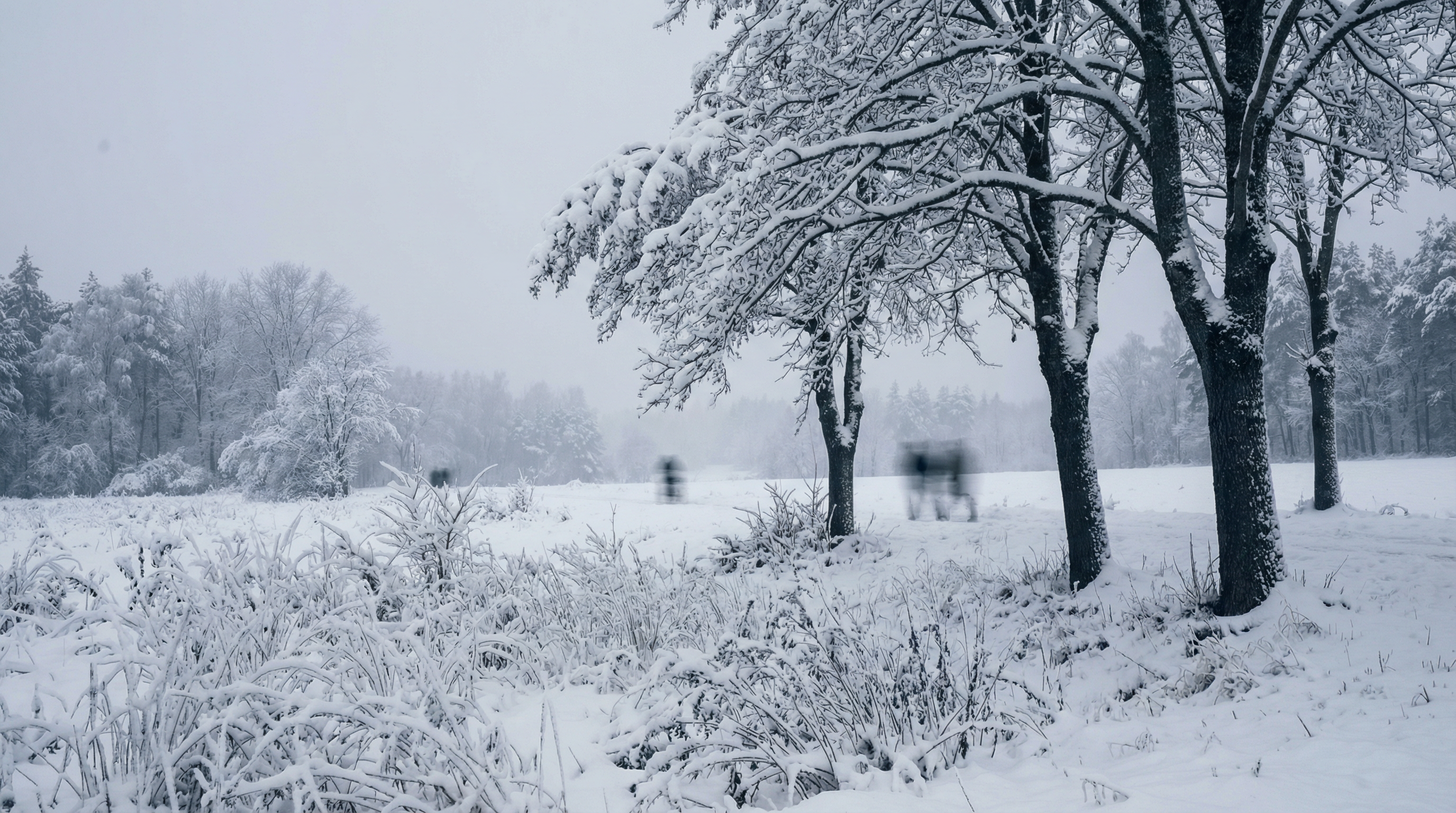 Fünftwärmster Januar weltweit - Europa erlebt kältesten Januar seit 2010