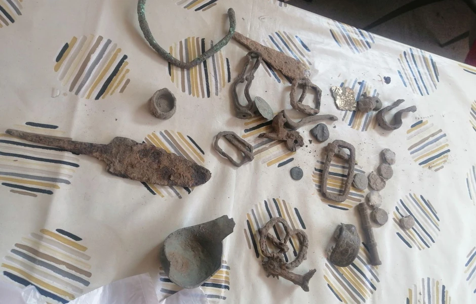 Zaplenjeno prstenje u Sremskoj Mitrovici