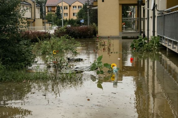 Ulica Działkowa