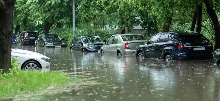 Prawie nowe, tanie i bezwypadkowe, ale po powodzi. Czy warto kupić "okazyjne" auto z Niemiec, Belgii czy Holandii?