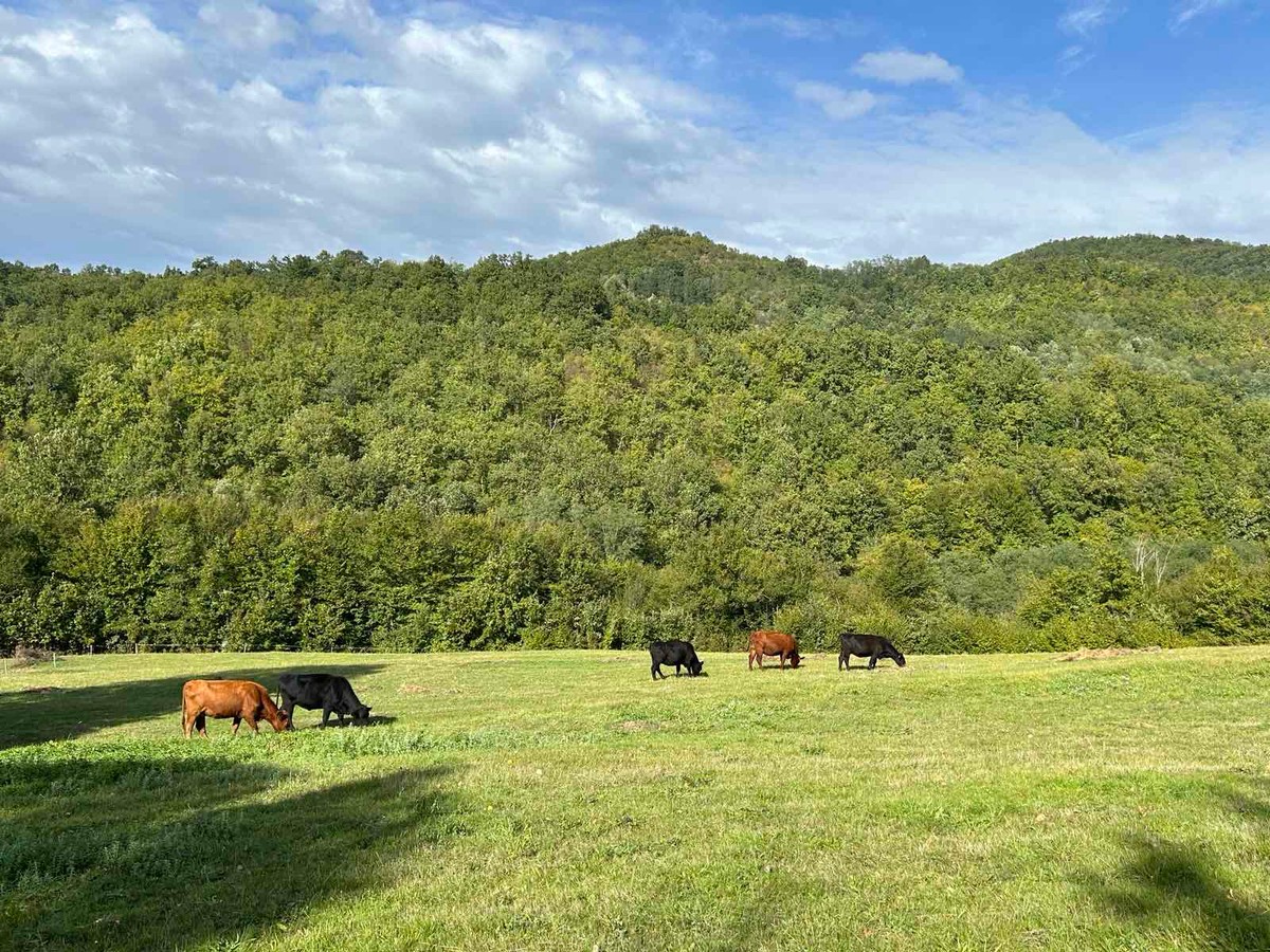Domaćinstvo maksimović