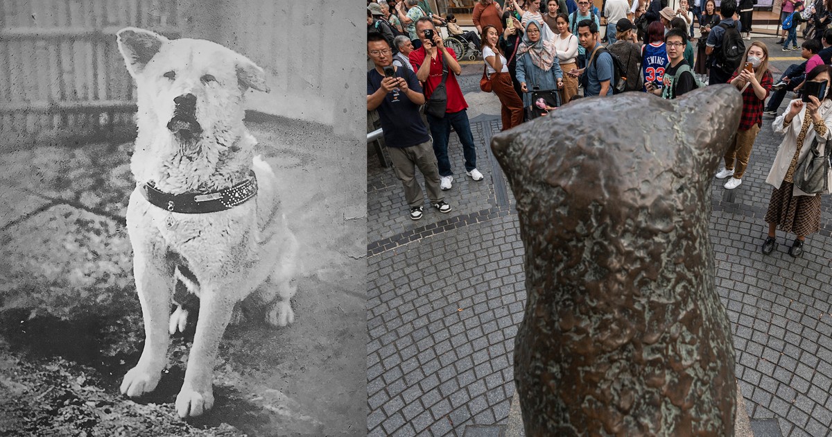 Historia wiernego psa Hachiko sprzed 100 lat, która wzruszyła świat