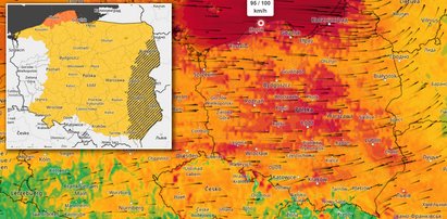 Niż Willy rozwiązał worek z niebezpieczną pogodą. Wieje. IMGW wystawił kolejne ostrzeżenia. Ile to potrwa? [WICHURA W POLSCE]