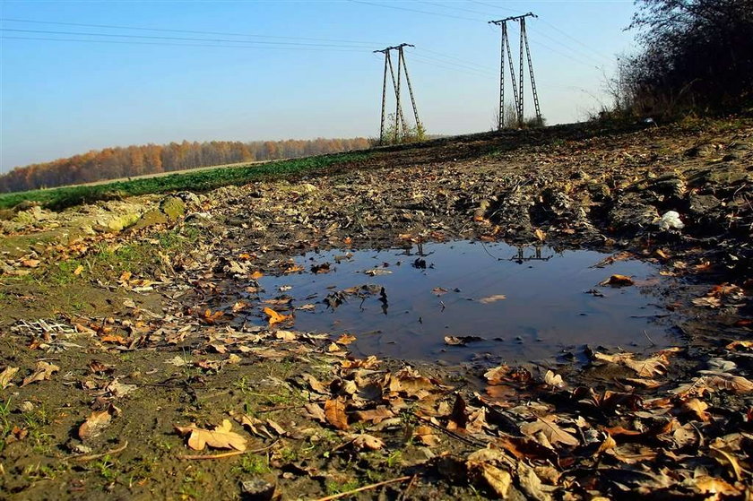 Zamiast cudów klepisko w Zabrzu