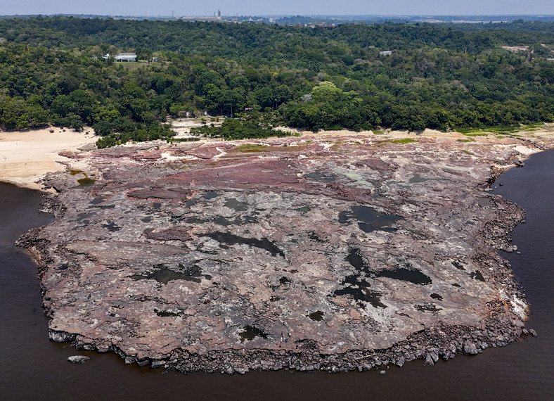 Susza w Amazonii odsłoniła starożytne ryciny w rzece Negro w Praia das Lajes