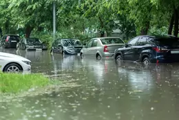 Prawie nowe, tanie i bezwypadkowe, ale po powodzi. Czy warto kupić "okazyjne" auto z Niemiec, Belgii czy Holandii?