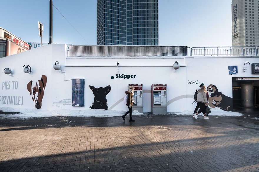 Rasowy Kundel. Charytatywny mural powstał w centrum Warszawy!